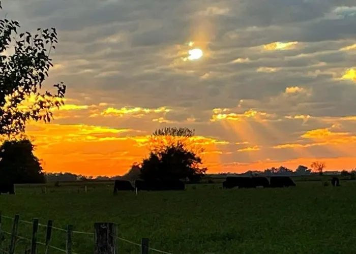 La Angelita Oeste